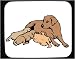 Mouse Pad with mother, dog, nursing, brown, litter, puppy
