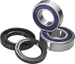 03-08 YAMAHA YZ450F: ALL BALLS REAR WHEEL BEARING KIT