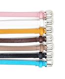 Lively Colored Womens Skinny Belt