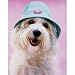 Cindy (Dog w/ Hat) Animal Poster - 16x20