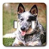 Dogs Australian Cattle - Australian Cattle Dog - Light Switch Covers - double toggle switch