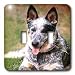 Dogs Australian Cattle - Australian Cattle Dog - Light Switch Covers - double toggle switch