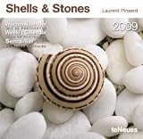 Produkt-Bild: Laurent Pinsard - Shells & Stones 2010. Wochenkalender