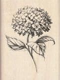 Inkadinkado Rubber Stamp Hydrangea 41d44iQE9ZL. SL160 Inkadinkado Rubber Stamp Hydrangea
