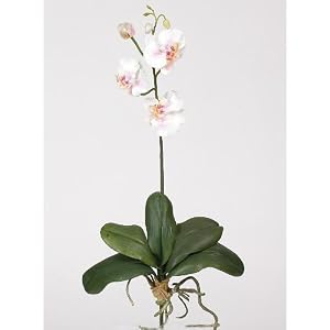 New Mini Phalaenopsis Silk Orchid Flower w Leaves 6 Stems Attractive Feel Light Pink by Nearly Natural