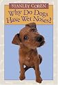 Why Do Dogs Have Wet Noses?