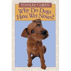 Why do dogs have wet noses?
