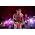 Thumbnail image of Cage the Elephant