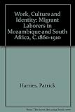 Work, culture, and identity : migrant laborers in Mozambique and South Africa, c.1860-1910