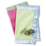Travel Silky Blanket Sage/Blue Trim