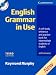 English Grammar In Use: A Self-Study Reference and Practice Book For Intermediate Students of English With Answers