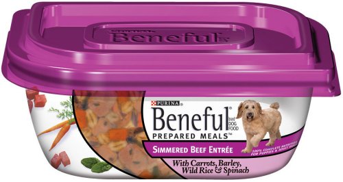 Beneful Prepared Meals Simmered Beef Dog Food, 10-Ounce Plastic Container (Pack of 16)