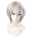 FENGSHANG Final Fantasy Ace Short Party Wigs 12 Inches Gray