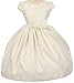 Dreamer P Little Girls Jacquard Floral Print Special Flowers Girls Dresses