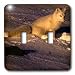 Wild animals - Arctic Fox - Light Switch Covers - double toggle switch