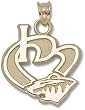 Minnesota Wild "I Heart Wild" 3/4" Charm/Pendant -14K/10K, Stainless Steel or Gold Plated