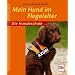Mein Hund im Flegelalter (Die Hundeschule)