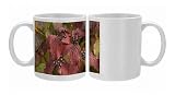 ROG-11800 Dogwood, autumn colour with berries. (= Thelycrania) Photo Mugs