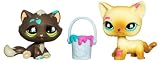 Hasbro Poupée - 815/816 - Littlest Petshop Duo avec Accessoire - Les Désordonnés - Chat et Chat