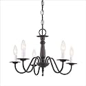 Sea Gull Lighting 3121-72 Traditional 5-Light Chandelier, Olde Iron