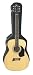 Michael Kelly Nostalgia Folk 2 NF2 Acoustic Guitar