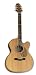 Samick Om15ce Acoustic Guitar
