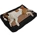 Sporting Goods : Ruff Wear Urban Sprawl™ Dog Bed