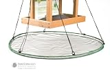 Seed Hoop 30 In