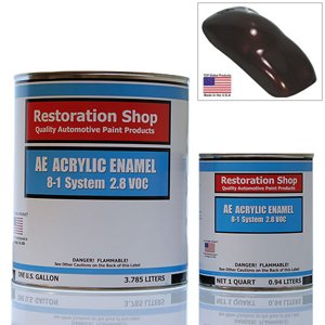 Earth Brown Firemist ACRYLIC ENAMEL Car Auto Paint Kit