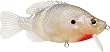 Storm Kickin Slab 04 Fishing Lures