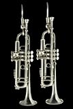 Trumpet Earrings (Silver)