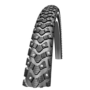 Schwalbe Marathon Winter Tire