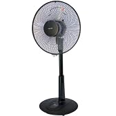 TEKNOS リビングリモコン扇風機 30cm (黒) KI-201R