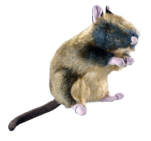 Hundespielzeug Wildlife Rat M