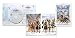 Suikoden V Rare U.S. Artbook and Soundtrack CD (Game Sold Separately)