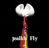 fly