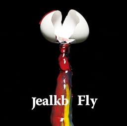 fly