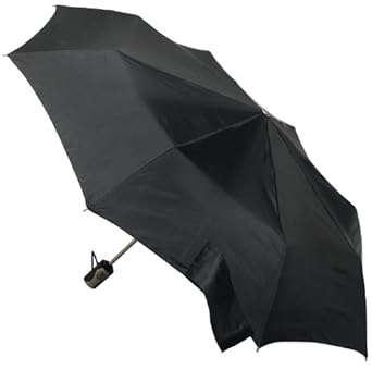 Totes Automatic Umbrella 