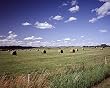 Hay Rolls to the Horizon - Striking 16x20-inch Photographic Print by Carol M. Highsmith