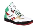 REEBOK SIR JAM SPECIAL EDITION LEATHER BASKETBALL SHOES WHITE/GREEN