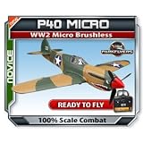 Parkflyers P40 RTF WW2 Micro Brushless Electric RC Airplane EPO!