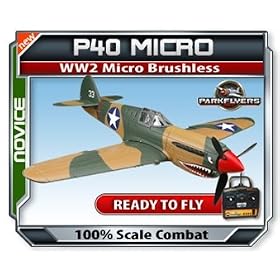 Parkflyers P40 RTF WW2 Micro Brushless Electric RC Airplane EPO! from RTF Electric Airplanes HobbyZone