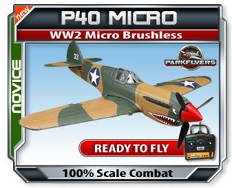 Parkflyers P40 RTF WW2 Micro Brushless Electric RC Airplane EPO!
