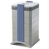 IQ Air multigasgc HEPA Air Purifier With Advanced Gas Chemical Filtration