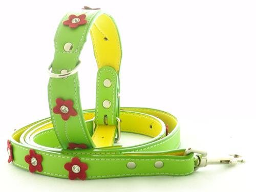 Collar and Leash - Chic Synthetic Leather in