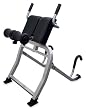 Teeter Hang Ups Dex II Decompression and Extension Machine