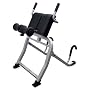 Teeter Hang Ups Dex II Decompression and Extension Machine