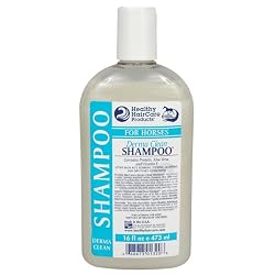 Derma Clean Shampoo - 16 oz