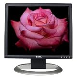 17 Dell 1704FPV DVI LCD Monitor w/USB Hub (Gray)