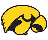 Iowa Hawkeyes Team Auto Window Decal (12 x 10 -inch)